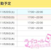 ヒメ日記 2025/11/22 18:54 投稿 ひめ かりんと秋葉原