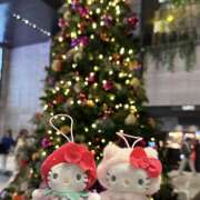 ヒメ日記 2025/11/26 23:00 投稿 ひめ かりんと秋葉原