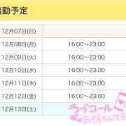 ヒメ日記 2025/12/07 12:06 投稿 ひめ かりんと秋葉原