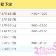 ヒメ日記 2025/12/14 08:56 投稿 ひめ かりんと秋葉原