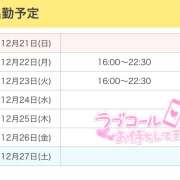 ヒメ日記 2025/12/21 09:11 投稿 ひめ かりんと秋葉原