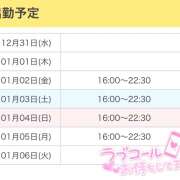 ヒメ日記 2025/12/31 15:53 投稿 ひめ かりんと秋葉原