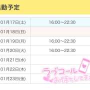 ひめ 来週の出勤予定🗓️♡ かりんと秋葉原