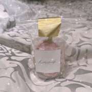 ヒメ日記 2026/02/14 10:37 投稿 ひめ かりんと秋葉原