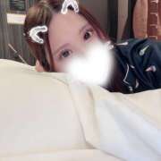 ヒメ日記 2026/04/03 09:34 投稿 ひめ かりんと秋葉原