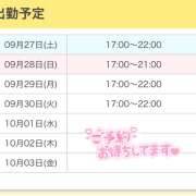 ヒメ日記 2025/09/27 12:18 投稿 りゆ かりんと秋葉原