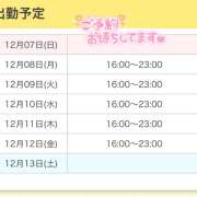 ヒメ日記 2025/12/07 22:47 投稿 りゆ かりんと秋葉原