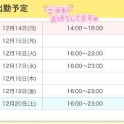 ヒメ日記 2025/12/14 12:12 投稿 りゆ かりんと秋葉原