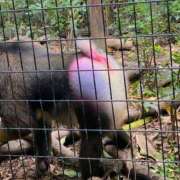 ヒメ日記 2025/02/08 19:46 投稿 柚奈　ゆな【1/1初デビュー】 久留米デリヘルセンター