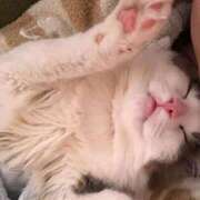 ヒメ日記 2025/08/27 18:56 投稿 柚奈　ゆな【1/1初デビュー】 久留米デリヘルセンター