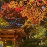 柚奈　ゆな【1/1初デビュー】 ※無題 久留米デリヘルセンター