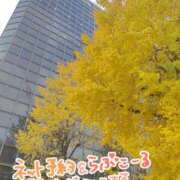 ヒメ日記 2024/12/13 14:45 投稿 いずみ【Pコース】 久留米デリヘルセンター