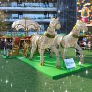 ヒメ日記 2024/12/21 19:16 投稿 いずみ【Pコース】 久留米デリヘルセンター