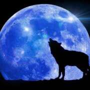 ヒメ日記 2025/01/14 20:31 投稿 いずみ【Pコース】 久留米デリヘルセンター