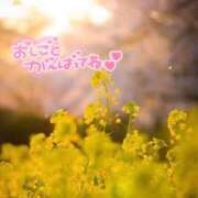 ヒメ日記 2025/02/12 07:31 投稿 いずみ【Pコース】 久留米デリヘルセンター