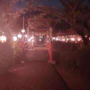 ヒメ日記 2025/04/13 03:15 投稿 いずみ【Pコース】 久留米デリヘルセンター