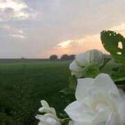 ヒメ日記 2025/03/13 01:15 投稿 松岡【人妻コース】☆美魔女 久留米デリヘルセンター