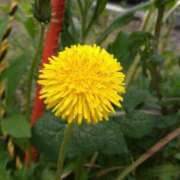 ヒメ日記 2025/05/13 17:50 投稿 ももえ 完熟ばなな 上野店