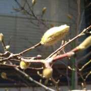 ヒメ日記 2026/04/21 18:26 投稿 ももえ 完熟ばなな 上野店