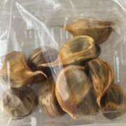 ヒメ日記 2025/02/14 19:23 投稿 ミコト 札幌★出張マッサージ委員会