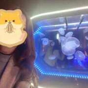 ヒメ日記 2025/01/30 20:45 投稿 弓月(ゆづき) 人妻城 横浜本店