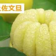 ももか 6月の合言葉になります！ 制服向上委員会