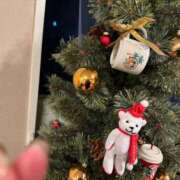 ヒメ日記 2024/12/13 17:55 投稿 あむ CECIL