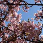 あむ ごめんなさい CECIL