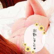 ヒメ日記 2025/02/13 17:18 投稿 みひろ 南国ラブストーリー宮古島