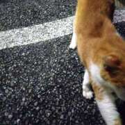 ヒメ日記 2026/03/12 11:18 投稿 みなと 神田ハンドメイド