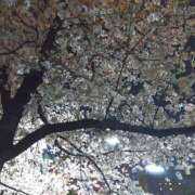 みなと よてい 神田ハンドメイド