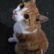 みなと しゅうまつ 神田ハンドメイド