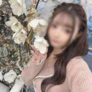 ヒメ日記 2025/02/02 17:30 投稿 かぐや コートダジュール