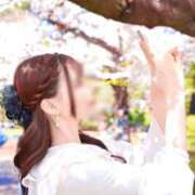 ヒメ日記 2025/04/08 12:08 投稿 かぐや コートダジュール