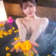 ヒメ日記 2025/04/14 15:45 投稿 かぐや コートダジュール