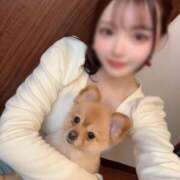 ヒメ日記 2025/04/18 13:03 投稿 かぐや コートダジュール