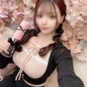 ヒメ日記 2025/05/03 12:24 投稿 かぐや コートダジュール