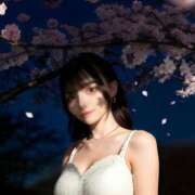 ヒメ日記 2026/03/28 17:00 投稿 かぐや コートダジュール