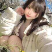 ヒメ日記 2026/04/03 10:05 投稿 かぐや コートダジュール