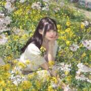 ヒメ日記 2026/04/06 11:00 投稿 かぐや コートダジュール