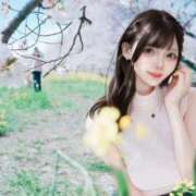 ヒメ日記 2026/04/16 11:00 投稿 かぐや コートダジュール