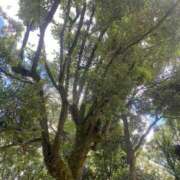 ヒメ日記 2025/07/22 01:19 投稿 涼宮悠里 皇帝別館（こうていべっかん）