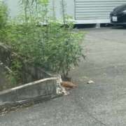 ヒメ日記 2025/08/16 19:16 投稿 涼宮悠里 皇帝別館（こうていべっかん）