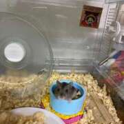 ヒメ日記 2025/08/22 21:26 投稿 涼宮悠里 皇帝別館（こうていべっかん）