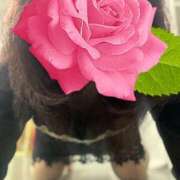 ヒメ日記 2025/03/24 20:26 投稿 栗原咲 五十路マダム 新居浜店（カサブランカグループ）