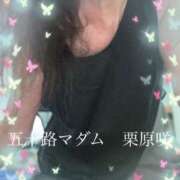 ヒメ日記 2025/08/07 20:30 投稿 栗原咲 五十路マダム 新居浜店（カサブランカグループ）