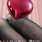 ヒメ日記 2025/11/17 20:36 投稿 栗原咲 五十路マダム 新居浜店（カサブランカグループ）