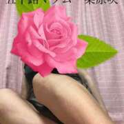 ヒメ日記 2025/11/27 23:44 投稿 栗原咲 五十路マダム 新居浜店（カサブランカグループ）