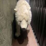 ヒメ日記 2025/07/29 16:35 投稿 モリウチ 仙台★出張マッサージ委員会