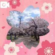 ヒメ日記 2025/04/09 13:35 投稿 サキヤマ 仙台★出張マッサージ委員会